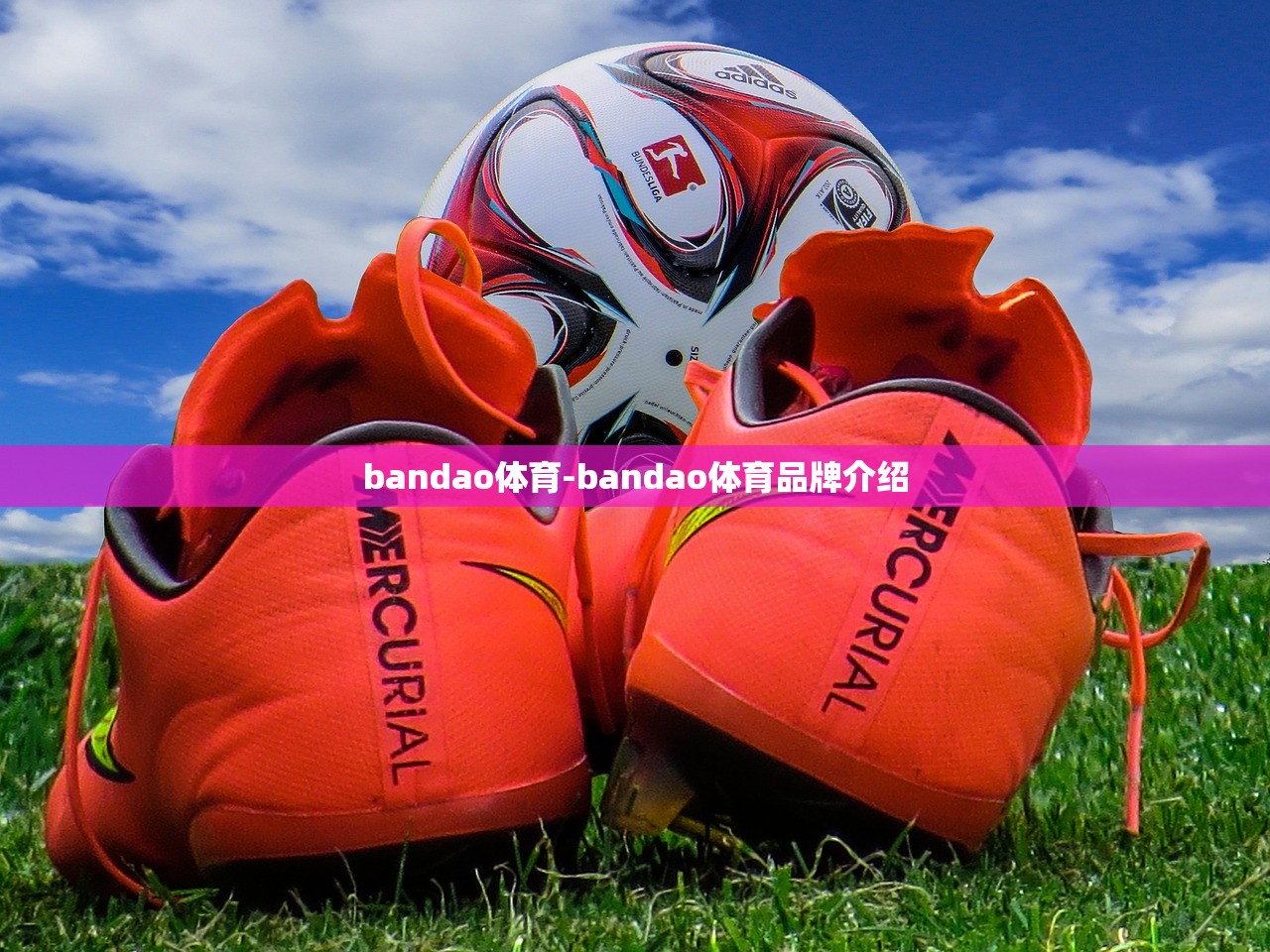 bandao體育-bandao體育品牌介紹