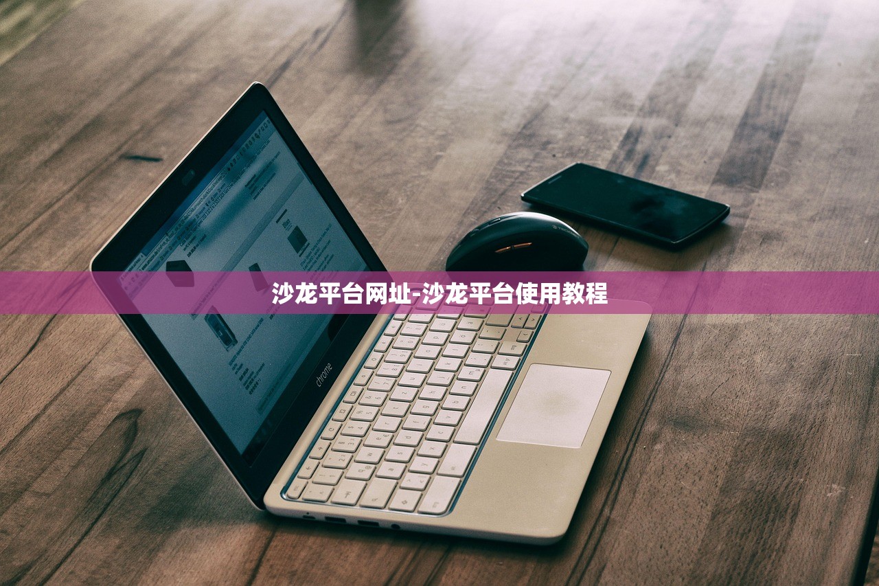 沙龍平臺網(wǎng)址-沙龍平臺使用教程