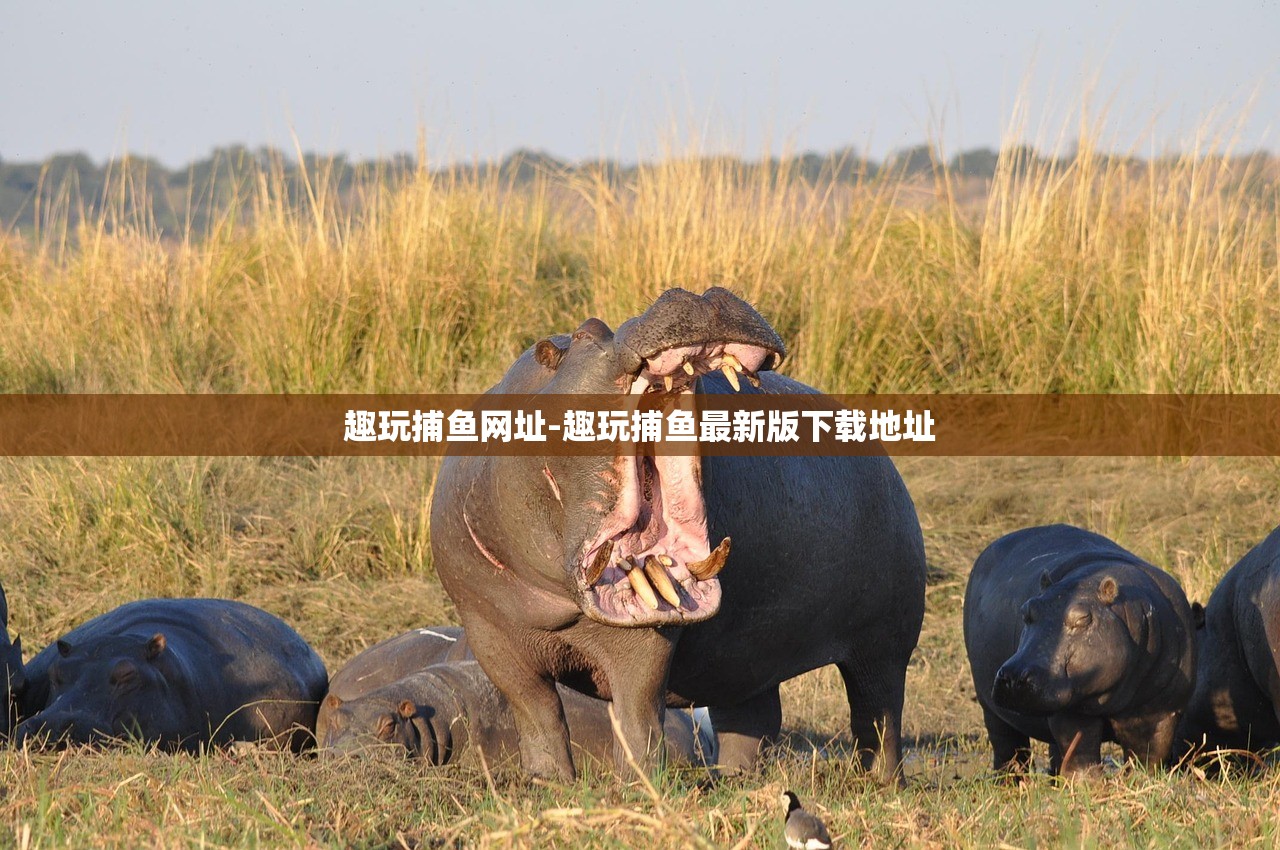 趣玩捕魚網(wǎng)址-趣玩捕魚最新版下載地址