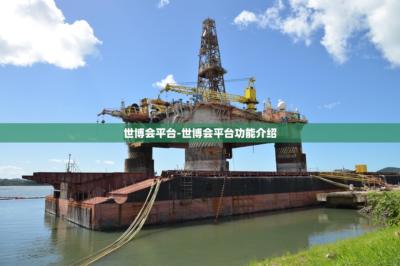 世博會(huì)平臺(tái)-世博會(huì)平臺(tái)功能介紹