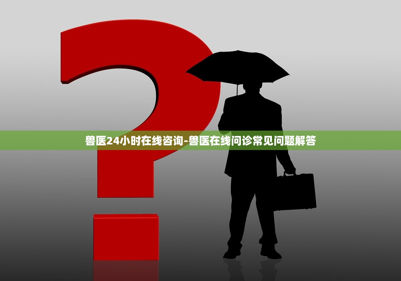 獸醫(yī)24小時在線咨詢-獸醫(yī)在線問診常見問題解答