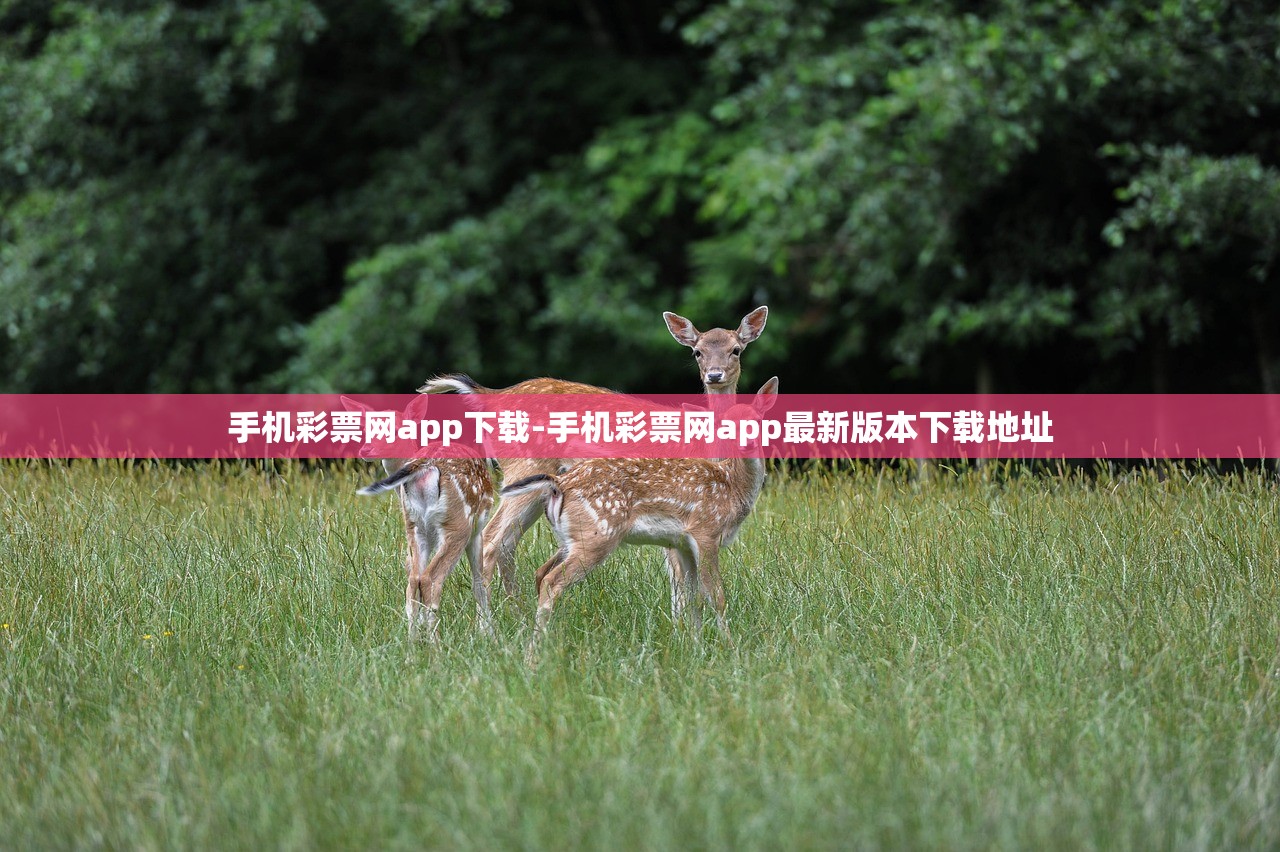 手機(jī)彩票網(wǎng)app下載-手機(jī)彩票網(wǎng)app最新版本下載地址