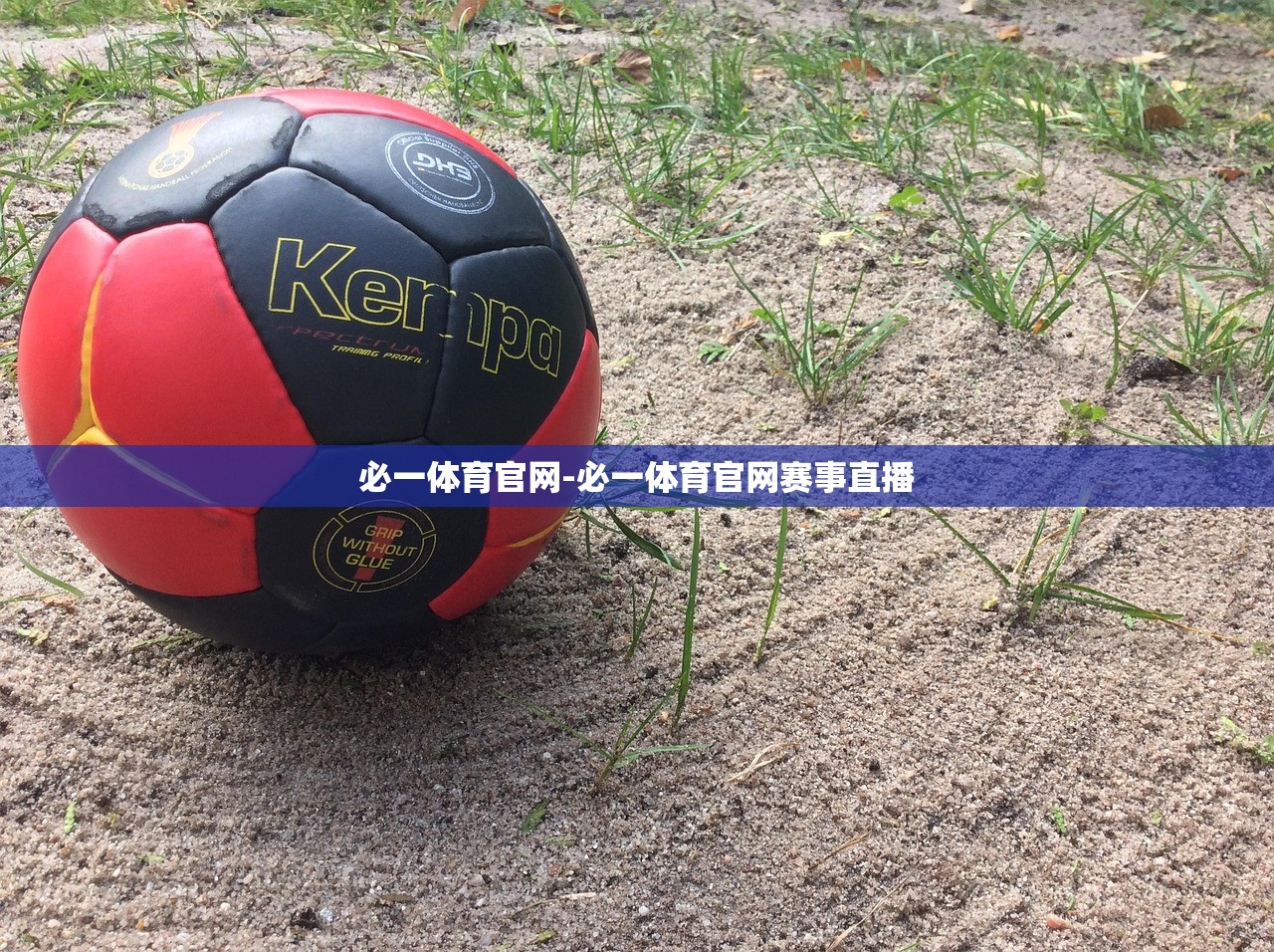 必一體育官網(wǎng)-必一體育官網(wǎng)賽事直播