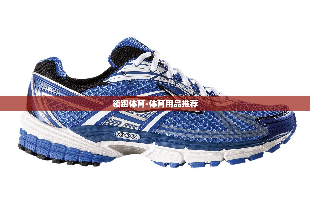 領(lǐng)跑體育-體育用品推薦