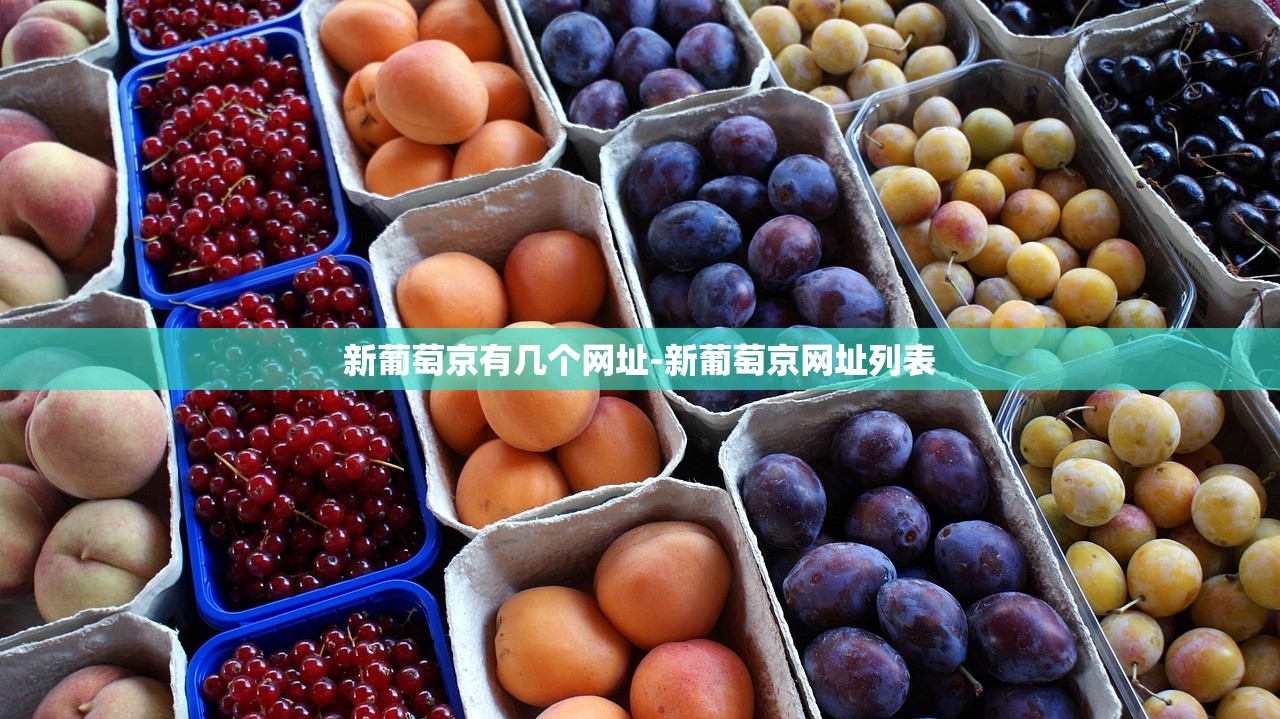 新葡萄京有幾個(gè)網(wǎng)址-新葡萄京網(wǎng)址列表